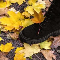 Застрял... :: Светлана Никитина