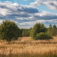 осенний день :: Galina осенний день :: Galina