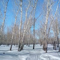 Зима,душевно :: Георгиевич 