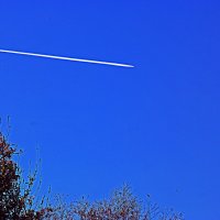 Над тайгой- самолет! :: Владимир 