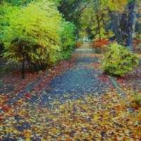 Осень в сквере :: Людмила Смородинская