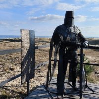 Страж Куршской косы. :: Ольга 