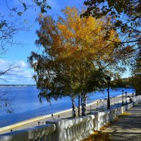 Чебоксары. Осенние берёзки на Московской набережной. :: Пётр Чернега