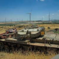 Израиль*Север страны 2025г :: ujgcvbif 