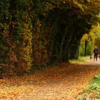 Осенние прогулки :: Юрий. Шмаков