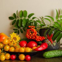 __ :: Галина Ложечникова