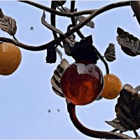 Янтарные яблочки. :: Валерия Комова