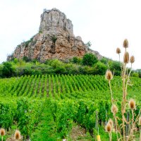 Рош де Содютре окружена виноградниками :: Георгий А