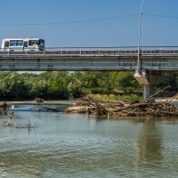 Река Кубань и деревья :: Игорь Сикорский Река Кубань и деревья :: Игорь Сикорский