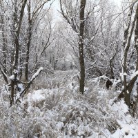 Прогулки по островам :: Anna Ivanova Прогулки по островам :: Anna Ivanova