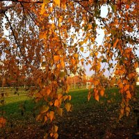 В осени есть что-то грустное и прекрасное одновременно. :: Татьяна Помогалова