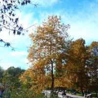 Осень золотая :: Валентин Семчишин Осень золотая :: Валентин Семчишин