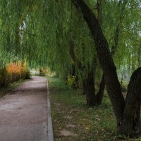 Парк. :: Владимир Безбородов