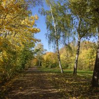 В старом парке царствовала осень, Красила деревья и кусты.... :: Галина 