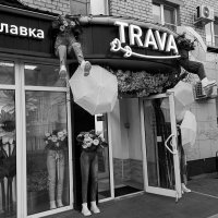 Трава, стала бизнесом. :: Игорь Солдаткин