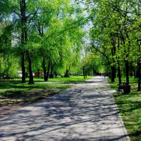 Волжский бульвар :: Игорь Белоногов