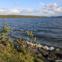 Пинозеро :: Ольга 