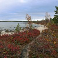 Осень у Имандры :: Ольга Осень у Имандры :: Ольга