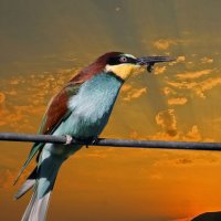 Вечерняя трапеза :: Андроник Александр 