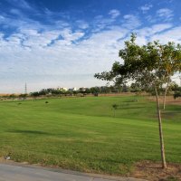 МОЛОДОЙ ПАРК :: Анатолий Малобродский МОЛОДОЙ ПАРК :: Анатолий Малобродский