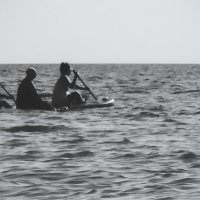 Три мудреца в одном тазу... :: Сергей Царёв Три мудреца в одном тазу... :: Сергей Царёв