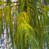 Осень в Москве :: marmorozov Морозова