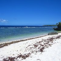 Дикий пляж на острове Тонгатапу. :: unix (Илья Утропов)