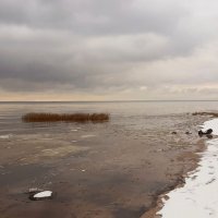 Однажды :: Наталья Герасимова