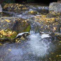 ... :: Галина ... :: Галина