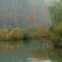 Осеннее утро :: Александр Орлов