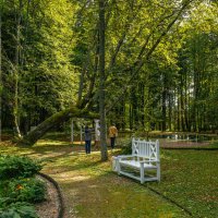 Берново. "Круглый пруд". :: Михаил "Skipper"