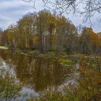 У лесного озера :: Сергей Цветков У лесного озера :: Сергей Цветков