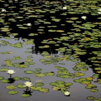 У природы нет плохой погоды :: Юрий. Шмаков