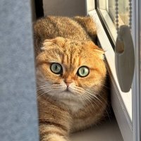 Марфа :: Ольга Довженко