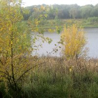 У озера :: Елена Семигина