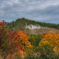 Пасмурная осень :: Наталья Димова