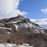 Природа Крыма :: Amazing Cosmea