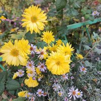 ,,, :: Сергей Тимоновский