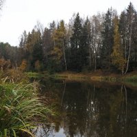 У Тихой Воды :: юрий поляков