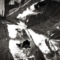 Фотография :: Денис Безногов