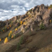 Золотые склоны :: Марина Фомина.