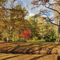 осень :: ИННА ПОРОХОВА