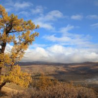 *** :: владимир 