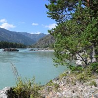 Катунь :: Валерий Медведев