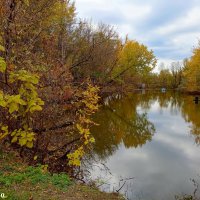 Октябрь в ростовском зоопарке :: Нина Бутко
