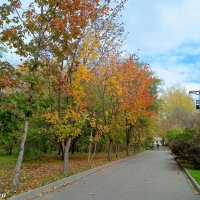 Октябрь в ростовском зоопарке :: Нина Бутко