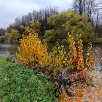Картинка октября :: Мария Васильева Картинка октября :: Мария Васильева