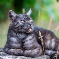 Философ :: Владимир Иванович