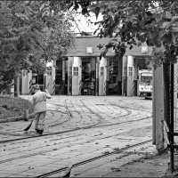 Осенняя листва... :: Наталья Rosenwasser