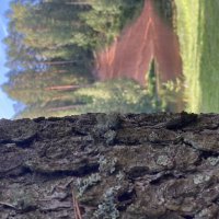 У Оредежа :: Ольга Савельева 